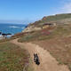 Sometimes whales hide back in that cove